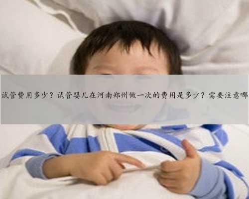 河南郑州试管费用多少？试管婴儿在河南郑州做一次的费用是多少？需要注意哪