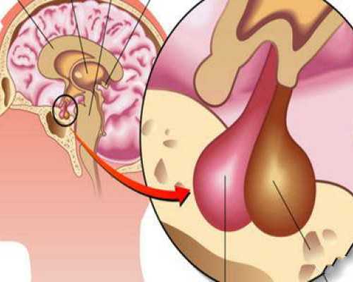 北京供卵包男孩,北京私立试管婴儿机构收费明细北京私立试管机构生殖医学中