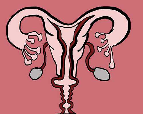 北京正规靠谱代孕公司,北京试管医院排名是怎么样的？北京妇产医院试管费用