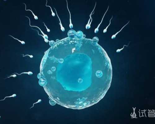 北京专业助孕网,北京治妇科病什么医院极好