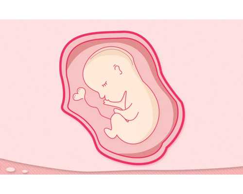 孕早期营养食谱精选*三代供卵试管