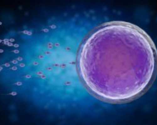 上海广州地区最受欢迎的供卵助孕中心推荐