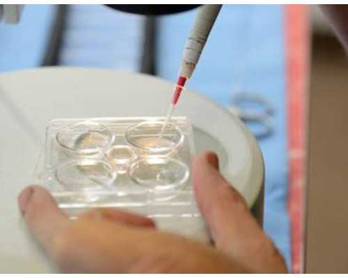 试管婴儿移植7天仍出血失败，第8天移植是否还需注意？