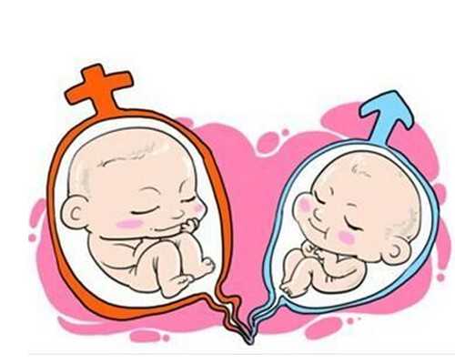 北京代孕公司供卵,在北京做试管需要准备什么，北京试管婴儿要什么手续