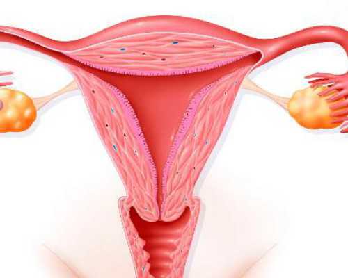 北京代孕价格网,北京医院助孕孩子电话？，北京协和医院试管婴儿成功率高吗