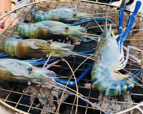 北京单身女性如何找代孕|济宁供卵试管医院推荐