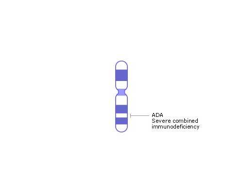 北京助孕机构网址,北京不孕不育在线咨询电话