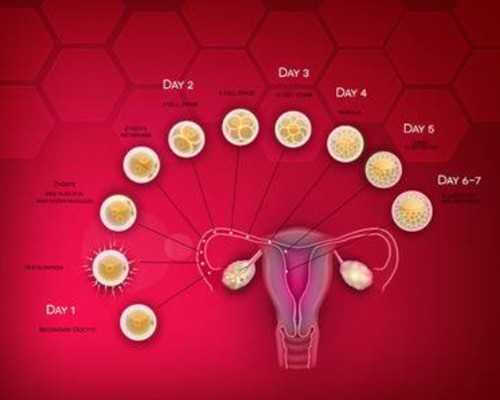 北京哪家医院擅长三代试管婴儿？费用比单胎贵！