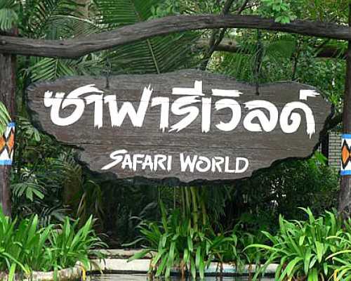 北京代孕哪里最便宜,肾上腺发育不良在北京哪家医院做三代试管可以避免遗传