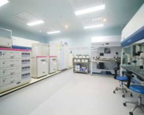 男性染色体9qh+是什么意思(女性染色体9qh做一代试管可不可以)