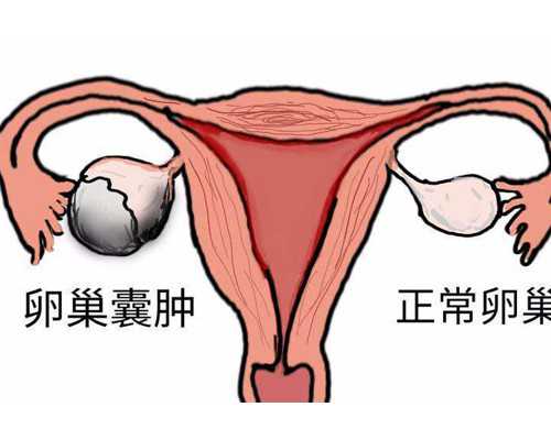 北京助孕包男宝成功|北京助孕公司价格_正规试管生子机构