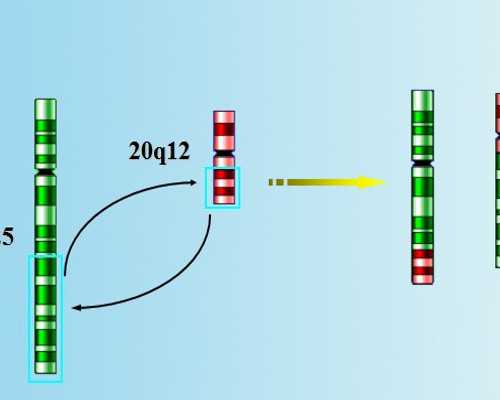 北京3代供卵代孕,北京供卵高端机构,北京三代供卵代孕包男孩靠谱吗