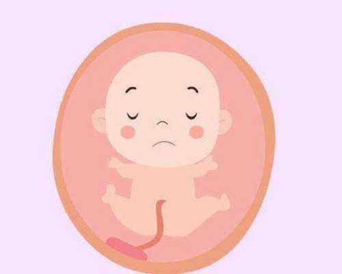 北京可以合法排队供卵的正规公立医院是哪几家？