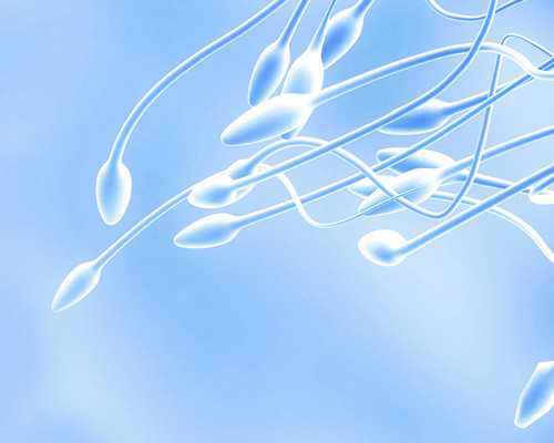 北京试管代怀真实情况|内蒙古供卵怀孕：乌兰察布供卵试管