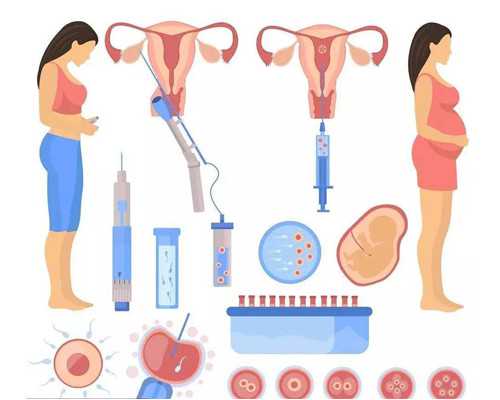 北京公立代怀公司,北京有供卵子的医院吗,广西有供卵子的医院吗