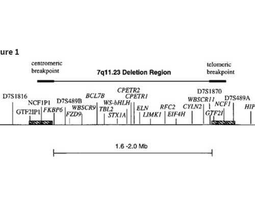 北京供卵代生女孩|宣城三代试管包生男孩价格2026
北京