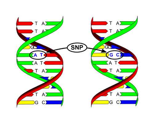 北京哪有代怀机构,北京包男孩试管医院排名