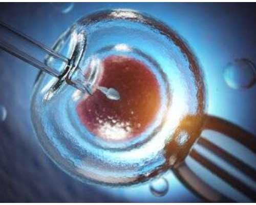 台湾试管有供卵子吗，费用、流程与医院最新指南