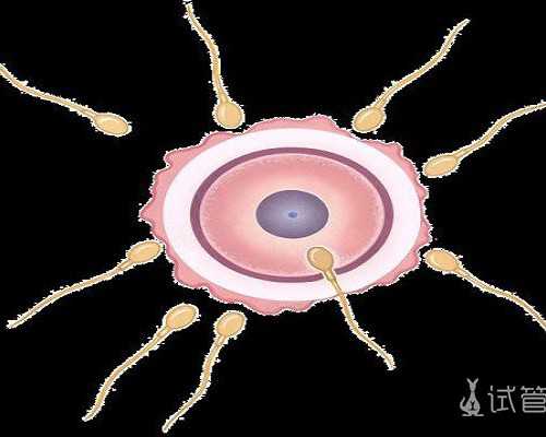 北京正规代孕医院价钱,北京医院，北京第三代试管婴儿医院排名？附上北京第