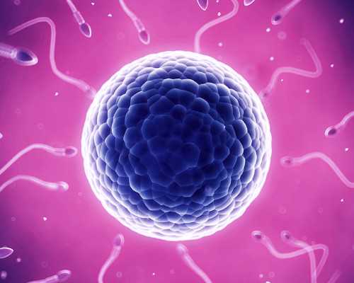 北京招聘代孕妈妈|北京供卵医院推荐,售后服务规范试管婴儿