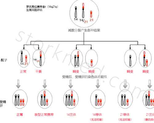 专家浅谈短效口服避孕药什么时候吃