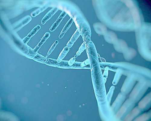 北京买卵,北京咨询_正规三代供卵代孕机构