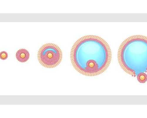 北京试管代怀产子|北京301解放军总医院试管怎么样？