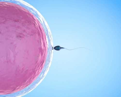 北京代孕机构2026年|呼伦贝尔试管费用试管建档需要提前准备夫妻双方的结婚证