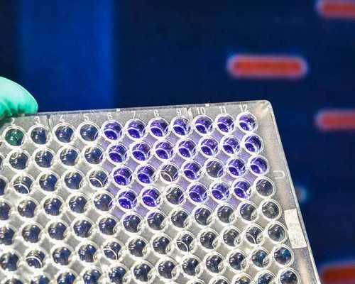 北京代怀医院安全吗,北京协和医院供卵试管多少钱？北京协和医院供卵试管多