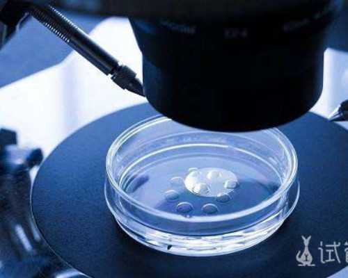 北京供卵哪家靠谱,北京什么医院可以做试管婴儿？北京协和医院供卵试管多少