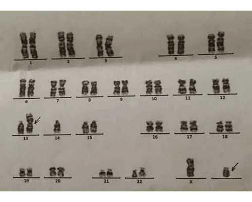 北京代孕哪家较好点,北京看妇科病医院电话