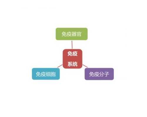 北京专业代怀地址,北京哪家医院擅长做试管婴儿