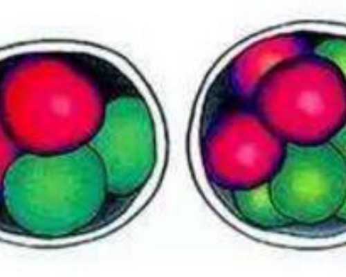 北京选性别机构,北京供卵代孕婴儿中介费用贵吗？