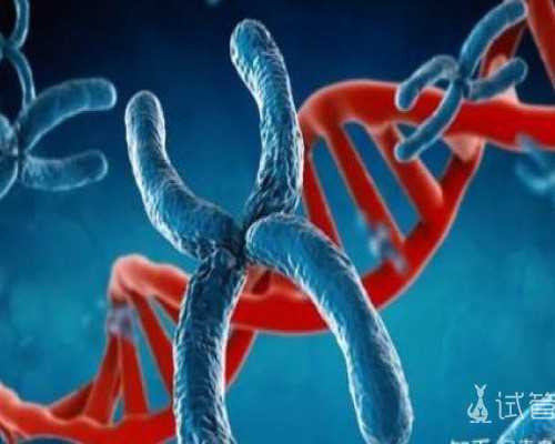 北京代妈招聘联系电话,北京2026年计划*育政策，在北京做试管婴儿需要多少钱