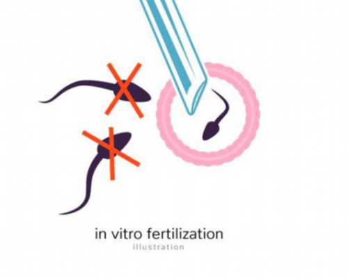 北京代孕宝宝免疫力有问题|济宁供卵试管医院推荐