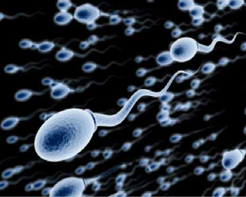 北京哪里供卵快些,北京三代供卵代孕包男孩靠谱吗