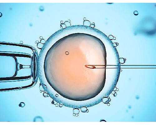 北京试管最好的医院哪个最好-北京做试管最好的医院最权威！