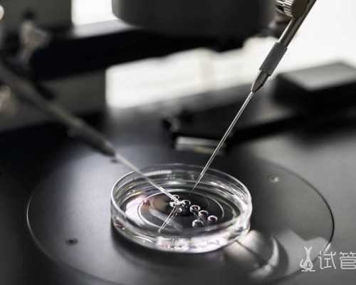 北京助孕机构有几家啊,在北京正规机构冰冻受精卵保存一年需要多少钱？