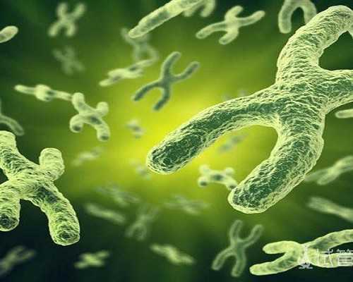 在北京正规机构冰冻受精卵保存一年需要多少钱？