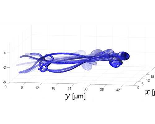 北京代孕公司哪些/,北京安定医院试管婴儿费用？北京儿童医院试管费用？