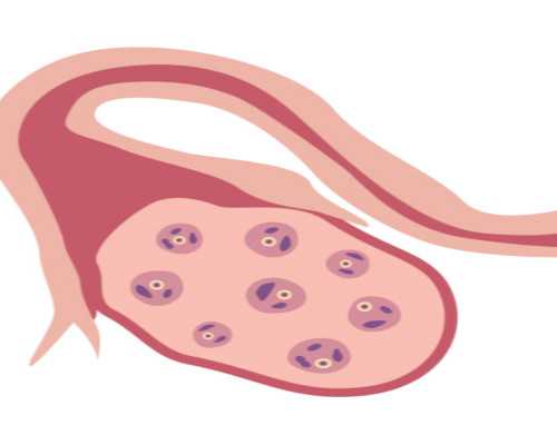 标题三代试管婴儿北京医院排名较好！助孕收费明细！