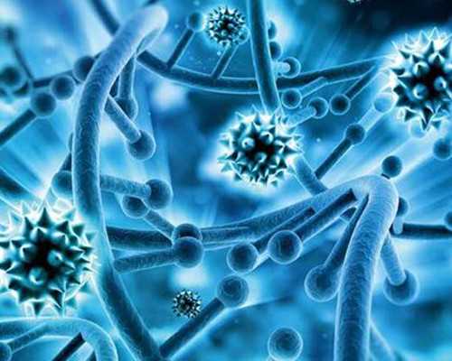 怀孕早期注意事项_怀孕早期注意哪些事项*试管生男孩