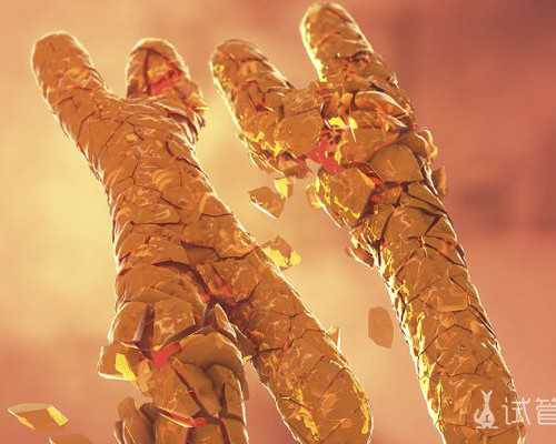 北京三代试管私人医院|北京供卵三代试管费用参考，北京三代试管婴儿热门医