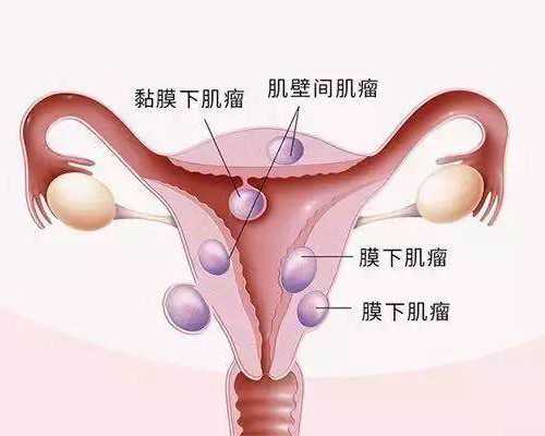 试管婴儿月经期要做b超吗*三代试管供卵