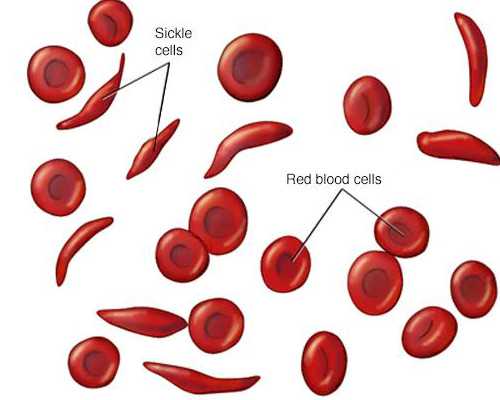2026在北京农村怀三胎可以享受国家免费孕前检查吗？
