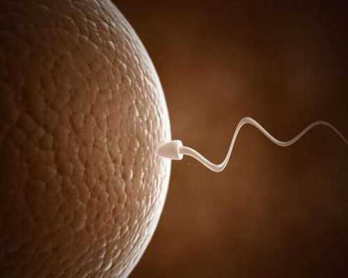 北京代生怀孕机构|湖州三代试管北京哪个医院