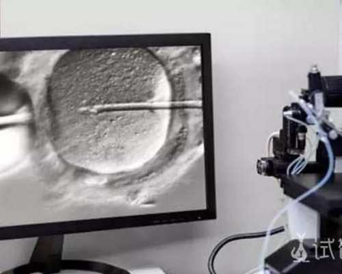 北京代孕最靠谱中心,北京试管供卵费用