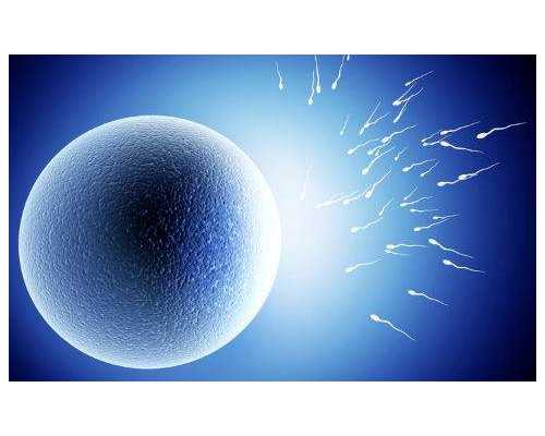 北京有代孕的职业吗|2026
做试管婴儿攻略大全:绍兴市试管婴儿成功率高