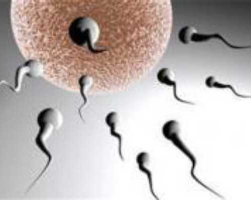 北京中心代怀套餐,北京供卵私立试管排名，2026年已更新|北京供卵试管机构