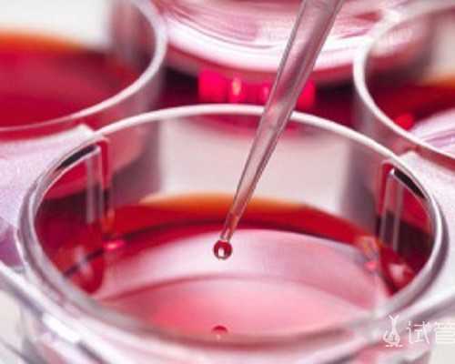 北京供卵机构排名|北京供卵三代试管婴儿成功率排名，2026
年已更新|北京三代